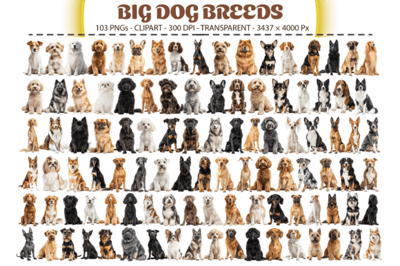 Big Dog Breeds Clipart: 103 PNGs for Designers
