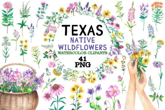 Texas Native Wildflowers Watercolor: A Creative Toolkit for Authentic Design