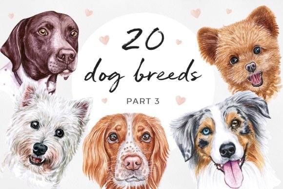 Watercolor Set 20 Dog Breeds Part 3: Artistic Clipart for Designers